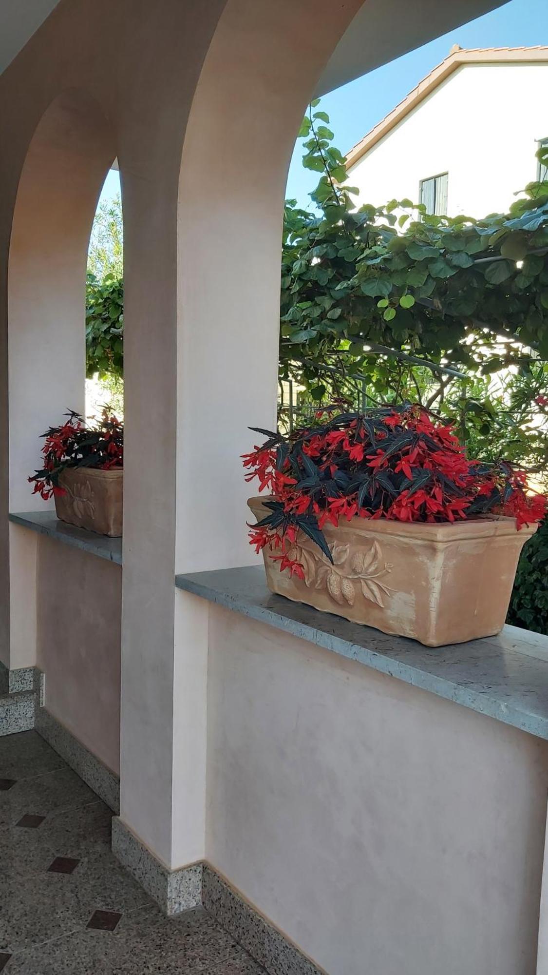 Apartments Villa Mirjam Porec Exterior photo